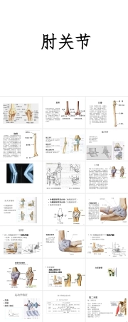 人体解剖学-肘关节解剖运动学说-课件.ppt