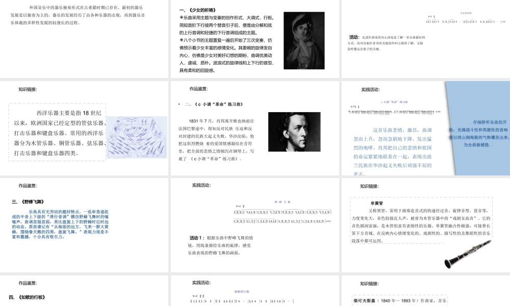 中职艺术：音乐鉴赏与实践第六单元《外国器乐》课件.pptx