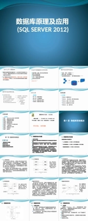 数据库原理及应用《第1章 数据库系统概述》课件.pptx