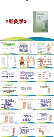 《针灸学》课件-4.20第4章 经络腧穴各论--足厥阴肝经及其腧穴.ppt
