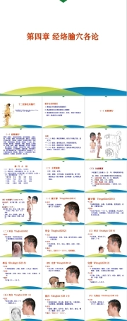《针灸学》课件-4.16第4章 经络腧穴各论--足少阳胆经及其腧穴.ppt