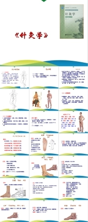 《针灸学》课件-4.19第4章 经络腧穴各论--足少阴肾经及其腧穴.ppt