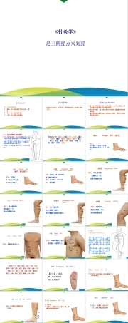 《针灸学》课件-4.21第4章 经络腧穴各论--足三阴经划经点穴.ppt