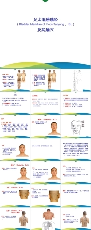 《针灸学》课件-4.14第4章 经络腧穴各论--足太阳膀胱经及其腧穴.ppt