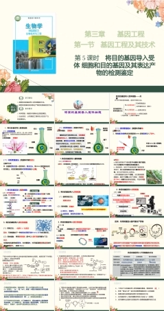 苏教版（2019）高中生物选择性必修三《3.1.5 将目的基因导入受体细胞和目的基因及其表达产物的检测鉴定》课件.pptx