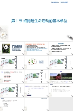 人教版（2019）高中生物必修1《1.1 细胞是生命活动的基本单位》课件.pptx