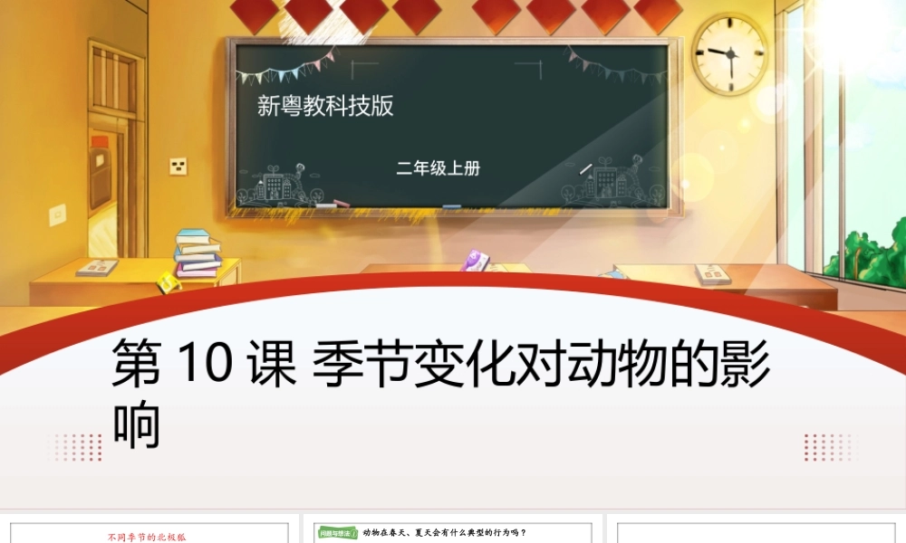 粤教粤科版（2024）二年级上册《第10课 季节变化对动物的影响》课件.pptx