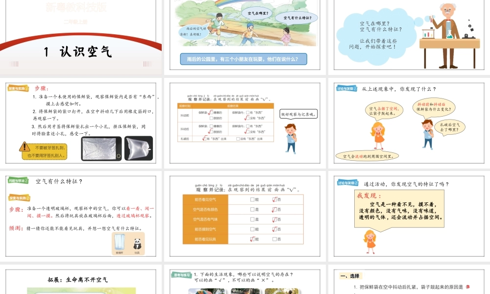 粤教粤科版（2024）小学科学二年级上册全册全套课件(共181页).pptx