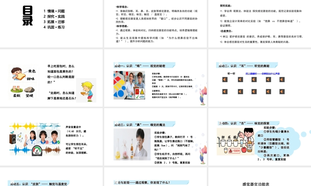 粤教粤科版(2024)科学二年级上册《2.5 认识感觉器官》（教学课件.pptx