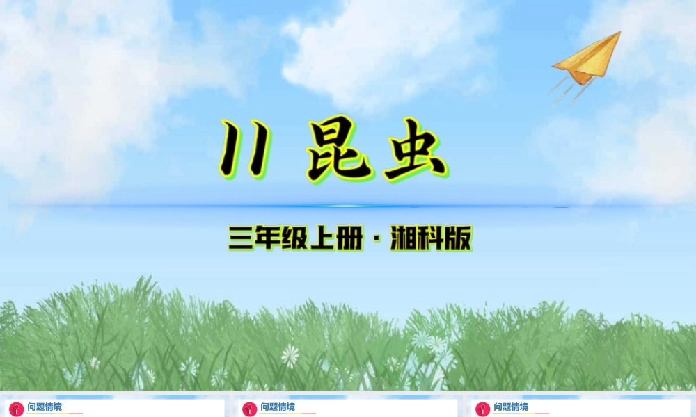 湘科版（2024）科学三年级上册《11.昆虫》（课件）.pptx