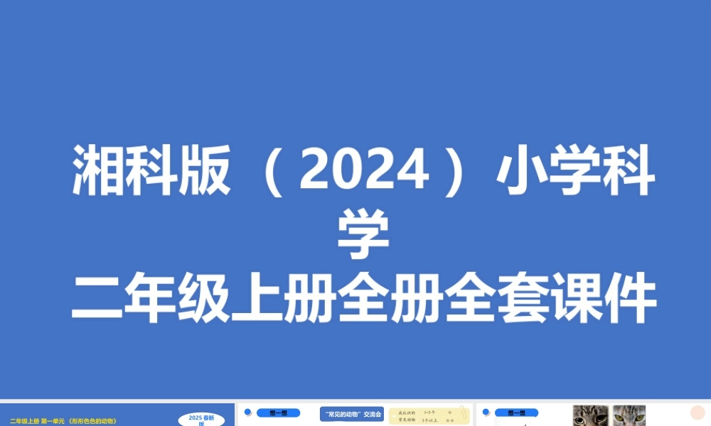湘科版（2024）小学科学二年级上册全册全套课件（共120页）.pptx