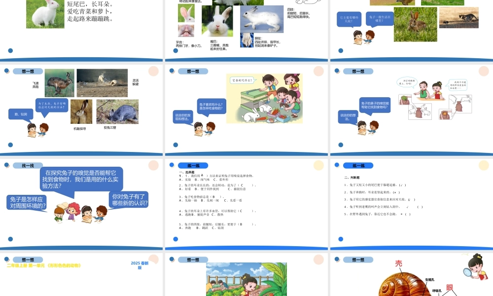 湘科版（2024）小学科学二年级上册全册全套课件（共120页）.pptx