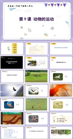 青岛版五四制（2024）科学一年级下册《2.9 动物的运动》课件（含视频）.pptx