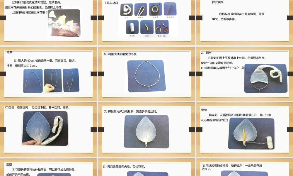 鄂教版小学劳动六年级下册《6.巧手制作丝网花丝》课件.pptx