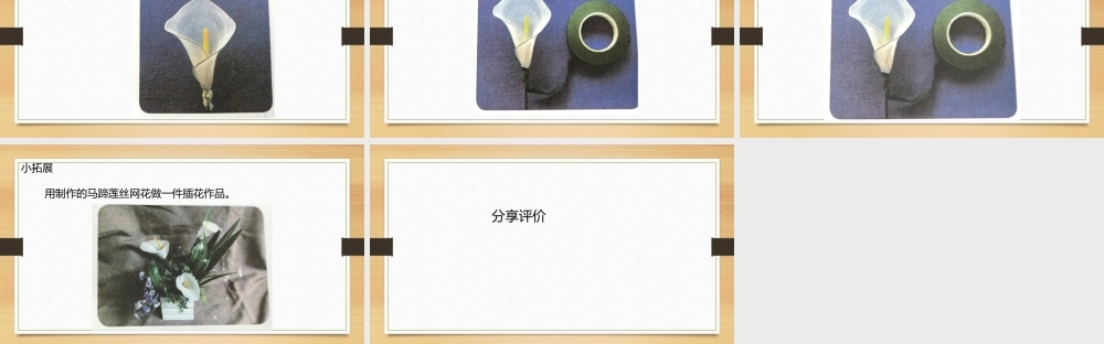 鄂教版小学劳动六年级下册《6.巧手制作丝网花丝》课件.pptx