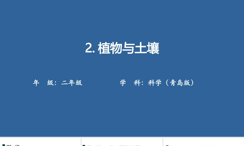 青岛版(2024)科学二年级上册《2.植物与土壤》课件.pptx
