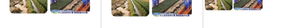 青岛版(2024)科学二年级上册《2.植物与土壤》课件.pptx