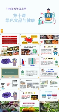 川教版生命生态安全五年级上册《绿色食品与健康》课件.pptx