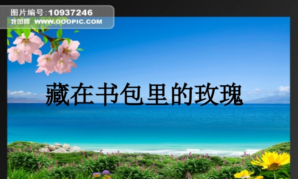 北师大版心理健康教育高一全一册《15 藏在书包里的玫瑰》课件.ppt