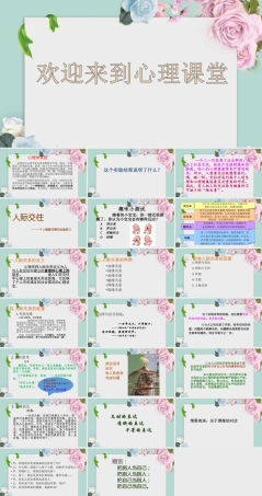 北师大版心理健康教育高一全一册《人际交往——一个人健康发展的必备能力》课件.ppt