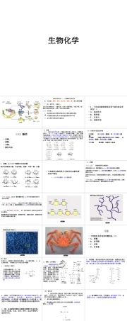 21高中生物竞赛辅导--生物化学【60页】.ppt
