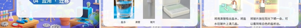 大象版（2024）科学二年级上册《1.1 把盐藏起来》（教学课件）.pptx