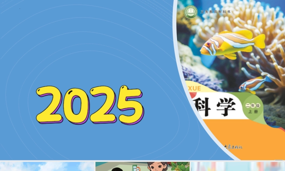 大象版（2024）科学二年级上册1.2《水能溶解哪些物质》（课件）.pptx