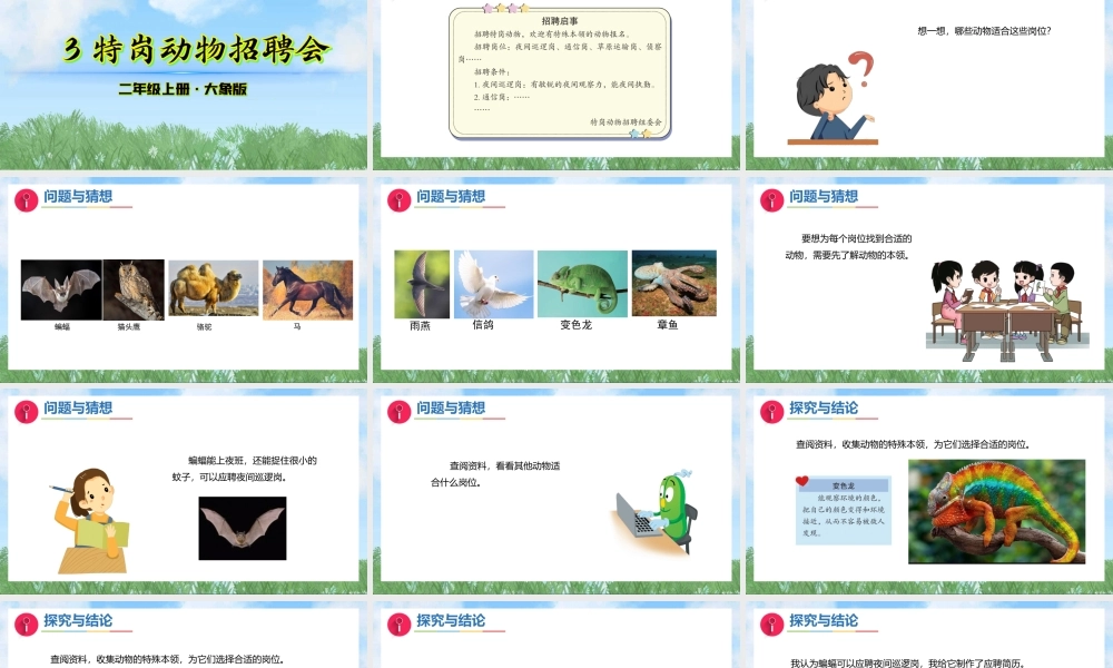 大象版（2024）科学二年级上册2.3《特岗动物招聘会》（课件）.pptx