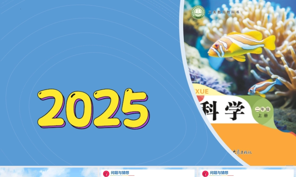 大象版（2024）科学二年级上册1.3《茶叶能溶解吗》（课件）.pptx