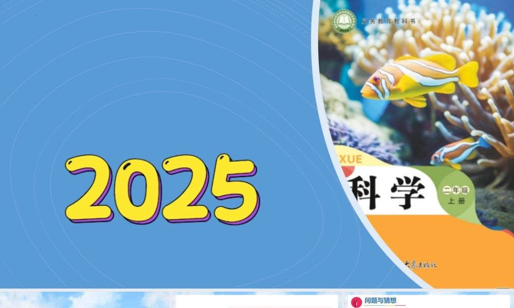 大象版（2024）科学二年级上册3.2《天气与生活》（课件）.pptx