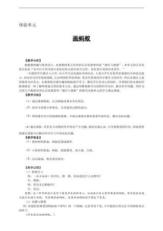 大象版（2024）科学一年级上册《体验单元画蚂蚁》教案.doc