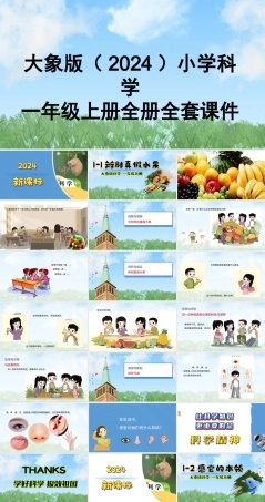 大象版（2024）小学科学一年级上册全册全套课件（合集396页）.pptx