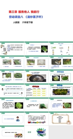 人教版劳动教育六年级下册劳动项目八《清炒蒿子秆》课件.pptx