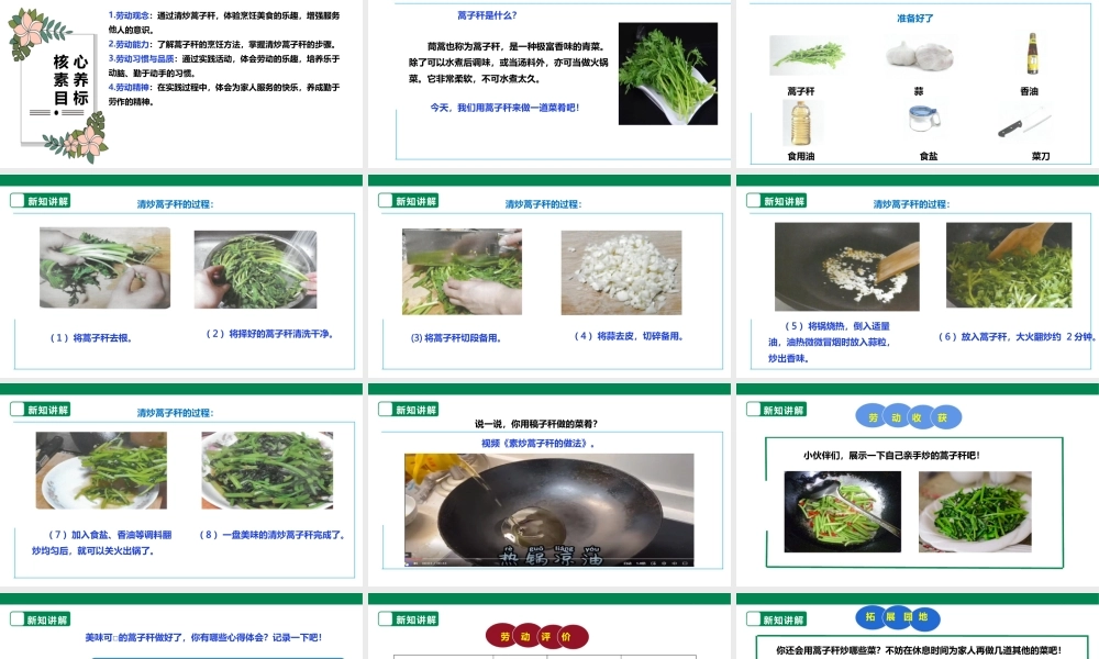人教版劳动教育六年级下册劳动项目八《清炒蒿子秆》课件.pptx