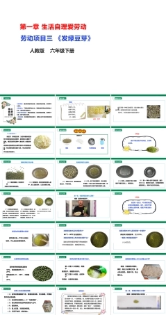 人教版劳动教育六年级下册劳动项目三《发绿豆芽》课件.pptx