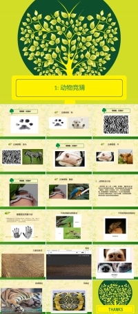 教科版综合实践活动六年级下册《201 动物肤纹》课件.pptx