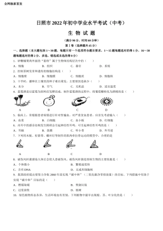 2022年山东省日照市中考生物试题卷（word精校版）独家首发.docx