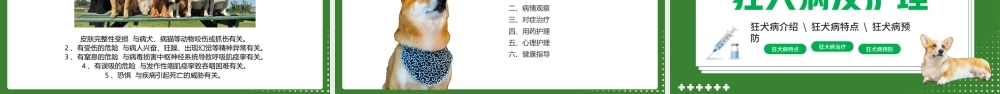 狂犬病介绍预防PPT课件（带动画）.pptx