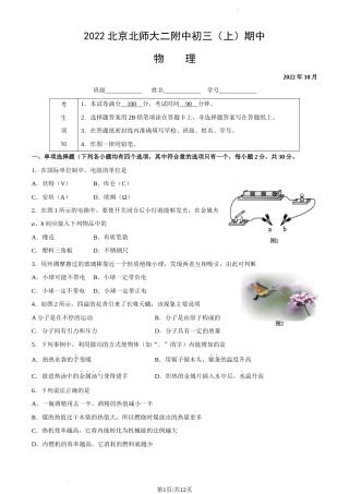 2022-2023学年北京北师大二附中九年级初三（上期）期中物理试卷（word精校版）.docx