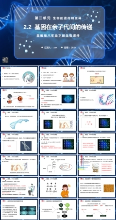 部编版八年级生物下册第二单元 生物的遗传和变异：基因在亲子代间的传递课件PPT（带动画）.pptx