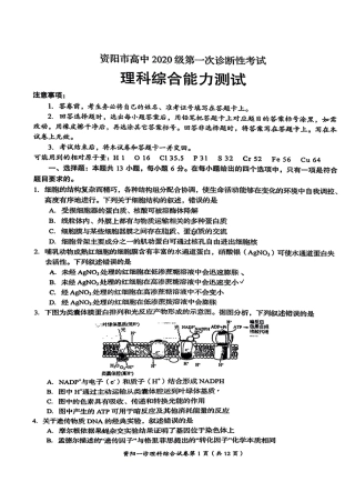 2022年11月四川省资阳市2020级高三高考一诊理科综合试卷及答案（独家首发）.pdf