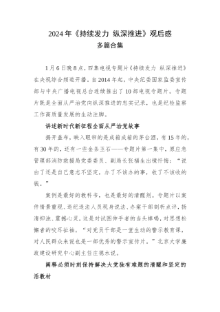 《持续发力 纵深推进》心得体会观后感.doc