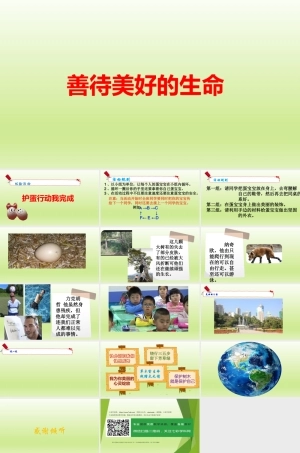 全国通用版六年级上册心理健康教育《善待美好的生命 》PPT课件(共14页).pptx