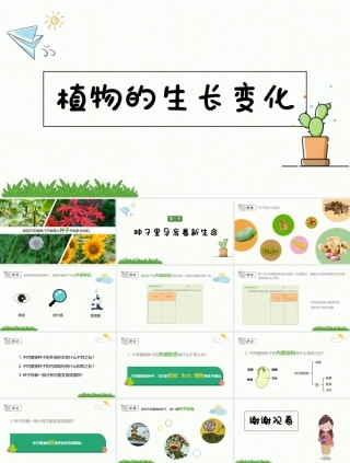 教科版四年级下册科学《 1.1种子里孕育着新生命 》PPT课件 (共13页).pptx