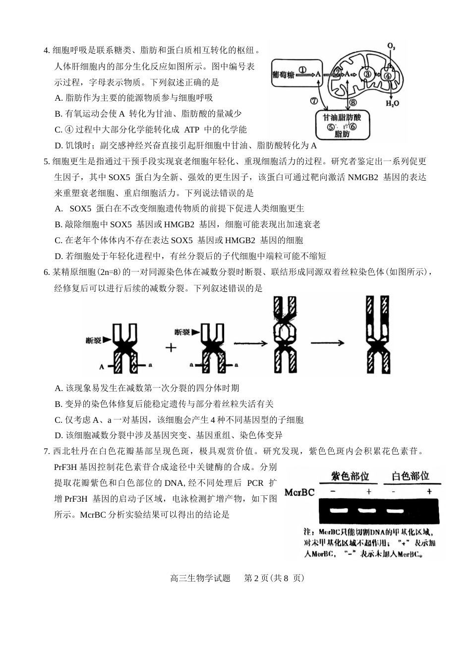 （一模）2026年河南省五市2027届高三第一次联考生物试卷（含答案解析）.docx_第2页