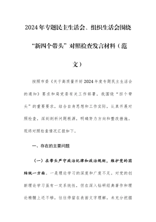 2024年专题民主生活会、组织生活会围绕“新四个带头”对照检查发言材料（范文）.docx