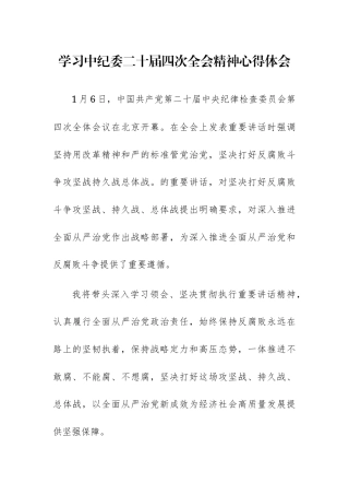 两篇：学习中纪委二十届四次会议精神心得体会范文.docx