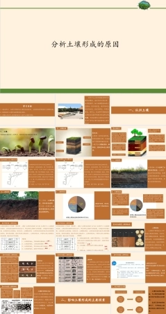 鲁教版高中地理必修1《分析土壤形成的原因》课件.pptx