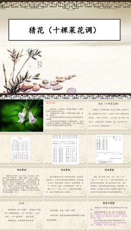 花城粤教版（2019）高中音乐鉴赏《猜花（十棵菜花调）》课件.pptx