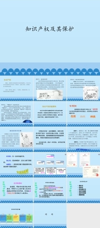 地质版（2019）通用技术必修1《1.4 知识产权及其保护》课件2.pptx